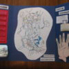 My Memory Work Lapbooks - Cycle 3 - Image 6