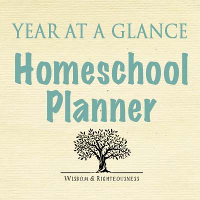 Year At A Glance Planner