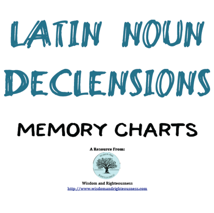 Latin Declension Chart