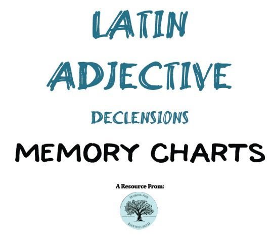 Latin Adjective Endings Chart